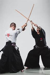 Image result for Kenjutsu