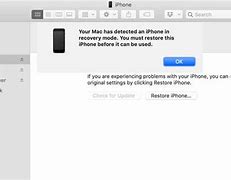Image result for iPhone 13 Touch Screen Not Responding