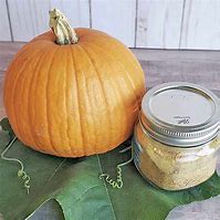Image result for Dehydrated Pumpkin