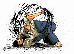 Image result for Jiu Jitsu Artwork