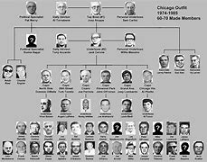 Image result for Original Mafia Crime Family Chart