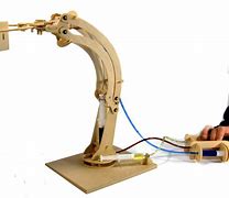 Image result for Robotic Hydraulic Arm