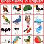 Image result for All Kinds of Animals Book