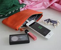 Image result for Purse Charger