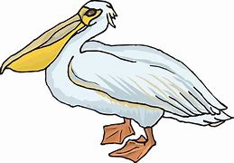 Image result for Pelican Cartoon Clip Art