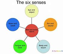 Image result for Six Senses Symbol