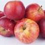 Image result for 3 Pounds of Apple's