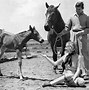 Image result for Clark Gable Affairs