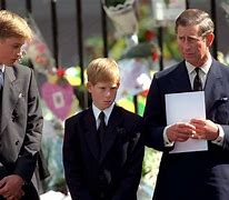 Image result for Prince Harry Funeral