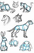 Image result for Sketching Animals Tutorial