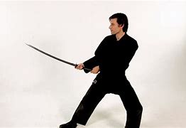 Image result for Real Sword Stances