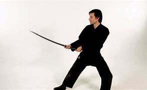 Image result for Samurai Sword Stances