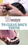 Image result for Dog Treat Clean Teeth Meme