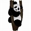 Image result for Panda HD
