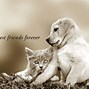 Image result for Wallpaper That Says Best Friends Forever
