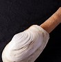 Image result for Clam Shell Types