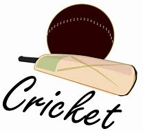 Image result for Cricket Bat and Ball Logo