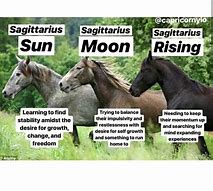 Image result for New Moon Meme Astrology