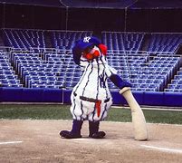 Image result for New York Yankees Mascot