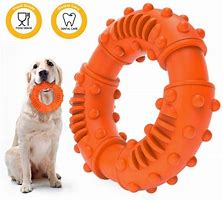 Image result for Toys for Dogs That Chew Up Everything