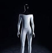 Image result for Tesla Robot-Human