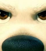 Image result for Bolt Dog Eye