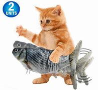 Image result for Cat Playing Catnip Toys