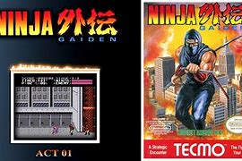 Image result for Ninja Gaiden NES Palette