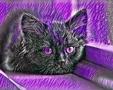 Image result for Black and Purple Cat Wallpaper