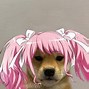 Image result for Doge Meme Sticker
