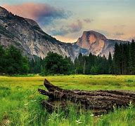 Image result for Nature MacBook Air Wallpaper