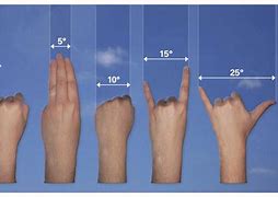 Image result for 7 Inch Wrist