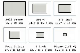 Image result for Phone Camera Sensor Size Comparison