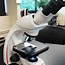 Image result for Compound Light Microscope