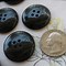 Image result for Oval Black Coat Buttons