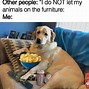 Image result for Much Dog Meme