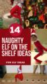 Image result for Bad Elf On Shelf