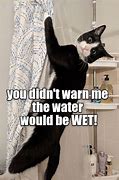 Image result for Is Water Wet Funny Meme
