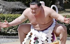 Image result for Yokozuna Sumo