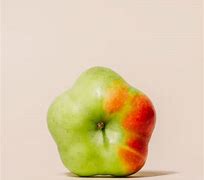 Image result for Inverted Color Apple