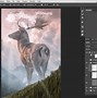 Image result for Photoshop Stock Photos