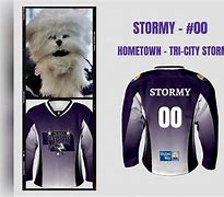 Image result for Tri-City Storm Jersey