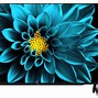 Image result for Sharp Aquos 4K TV