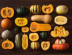 Image result for Different Kinds of Squash