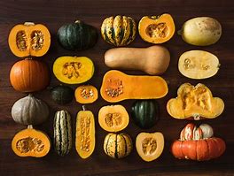 Image result for Are All Squash Edible