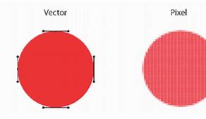 Image result for Pixel vs Vector Art Examples