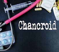Image result for Chancroid Antibiotics