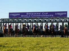 Image result for Top Turf Teddy Picture Breeders' Cup