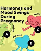 Image result for Pregnancy Hormones Mood Swings