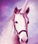 Image result for Pretty Magical Unicorns